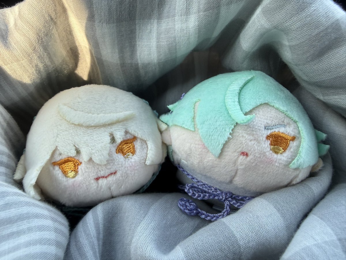 tomoe8523's tweet photo. ちょっとそこまでと言って法事につきあってもらっちゃった😌
ありがとね https://t.co/h9f3LgyfQQ