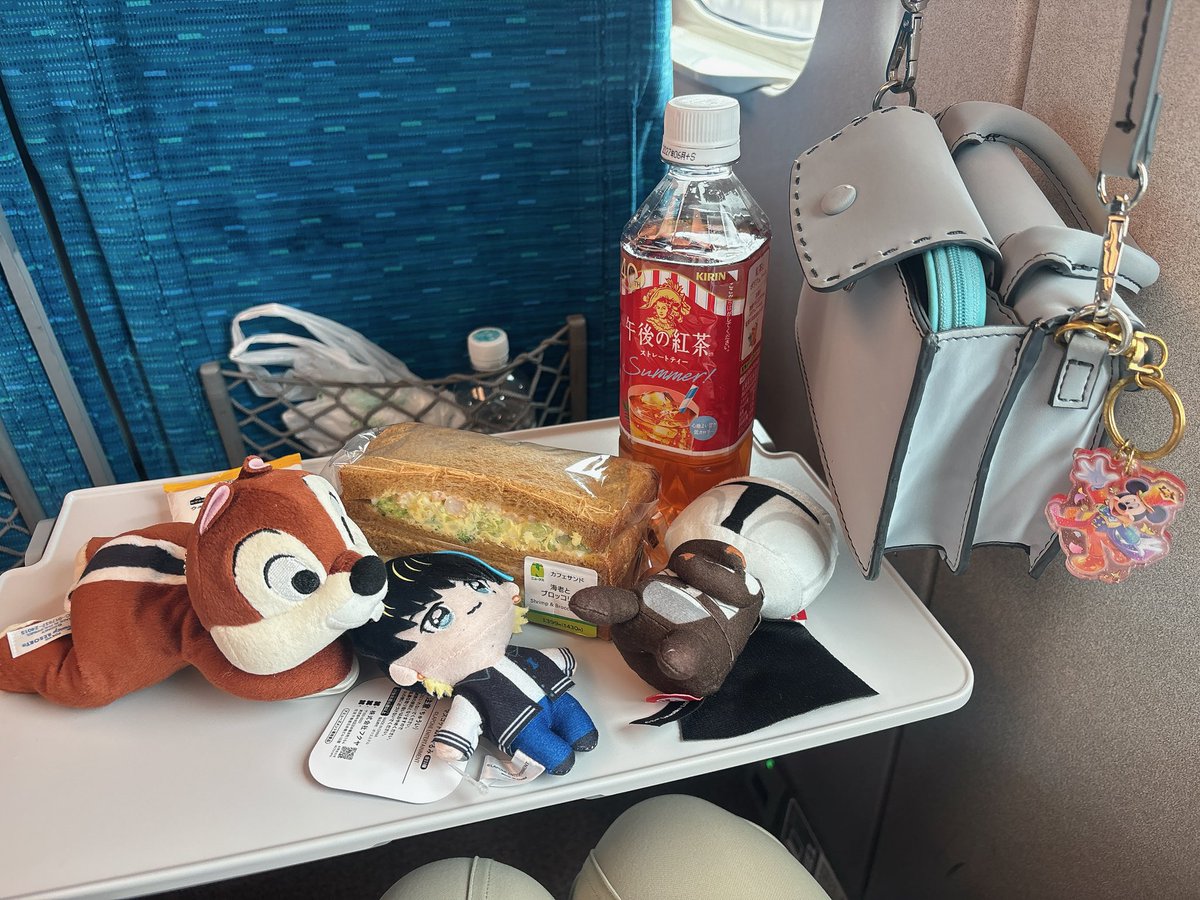 dropkick_44's tweet photo. たくさんお友だち連れてきた！✨
大夢くんファイティン〜👊 https://t.co/DDGS0MQ5qO
