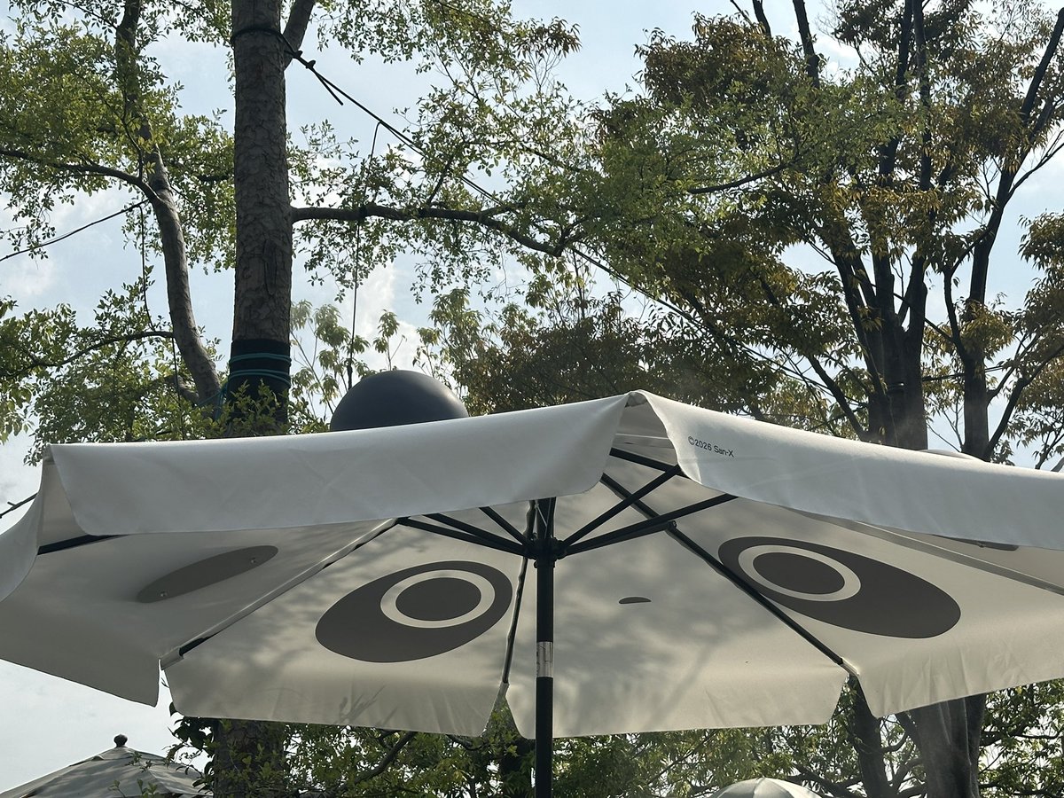 miaomiaocchi's tweet photo. #リラックマ　#すみっコぐらし　#日かげの森　#オモカド　#stayintheshade 

たれぱんだが暑くてパラソルの下でくつろいでる🐼😆 https://t.co/r5pldEPLmz