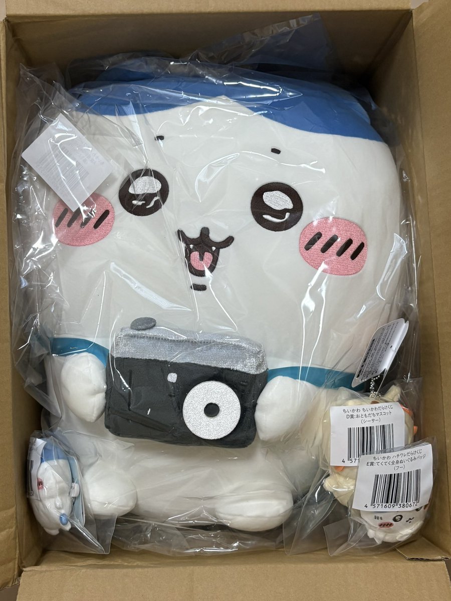 poeco0807's tweet photo. 届いたーーー！！
可愛すぎるっっっ(՞⸝⸝o̴̶̷̥᷅ ⌑ o̴̶̷̥᷅⸝⸝՞) https://t.co/KTzWdTF4ZX