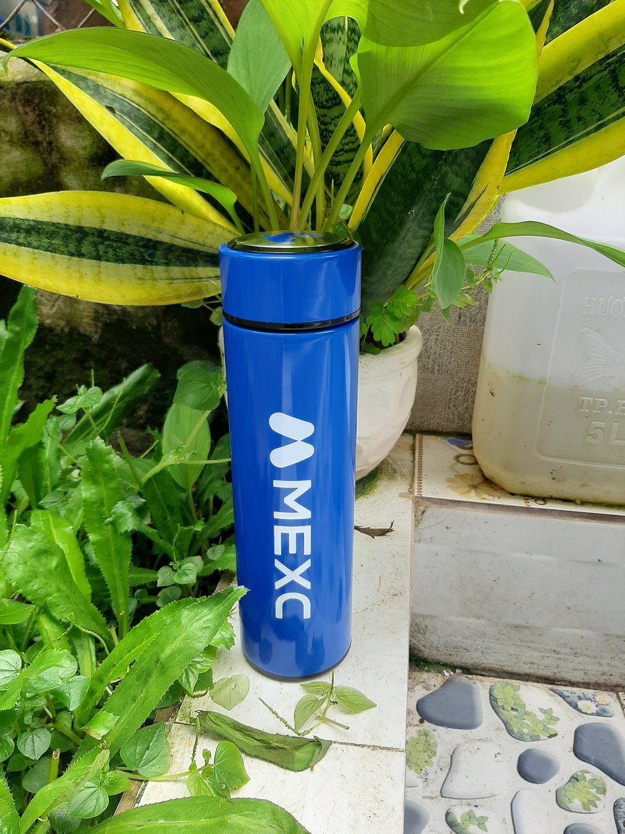 OmCover88029's tweet photo. Quá đẹp !!! Cảm ơn @Jenny_MEXC  @MEXC  tặng quà hihi🥳 https://t.co/To8BBQR5sc