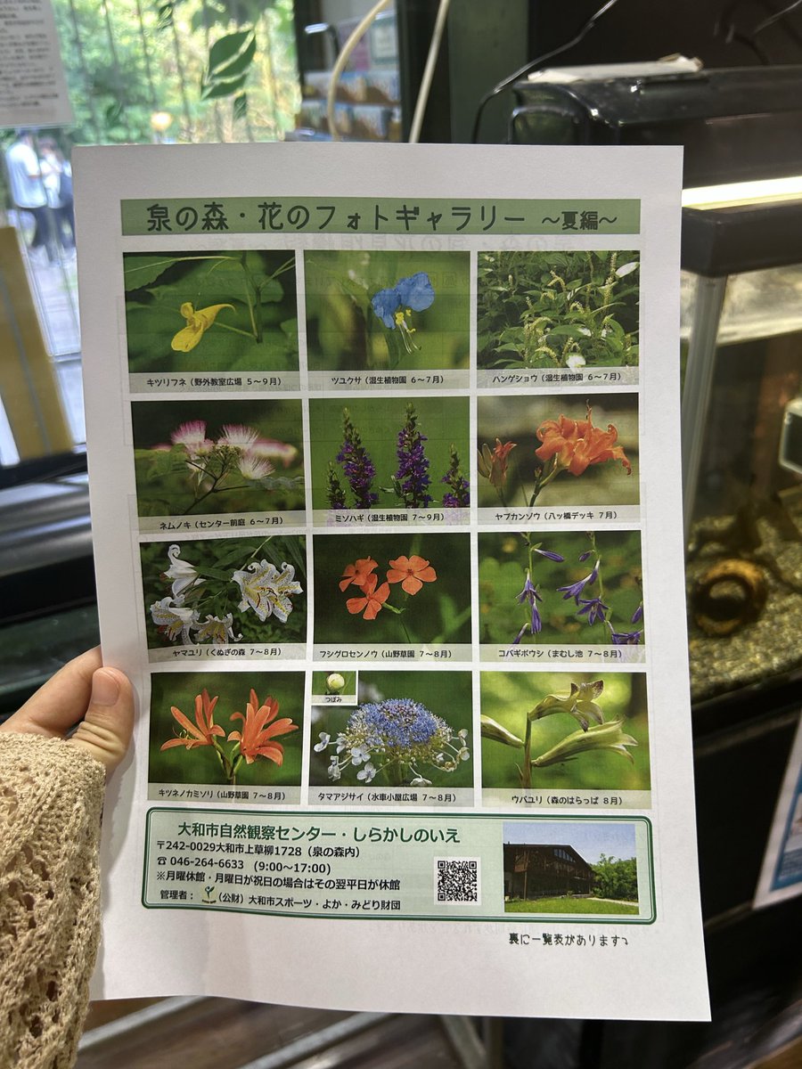 びり tweet media