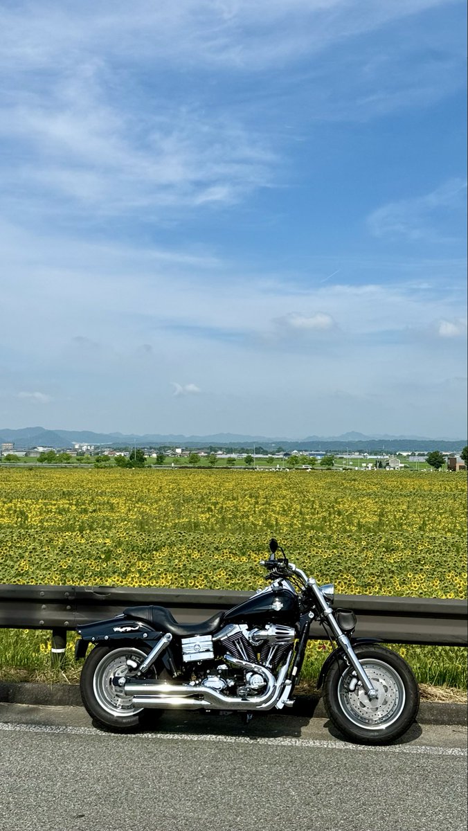 FXDF_FATBOB_BOB's tweet photo. 朝から快晴！☀️
ひまわりの丘公園へ🏍️💨
見頃は少し過ぎていたけどやっぱり青空とひまわりには癒される😊🌻☀️✨

帰りに寄った
アジュール舞子
海風が心地よくて
意外と涼しく過ごせました😊 https://t.co/pSlTHUglT7