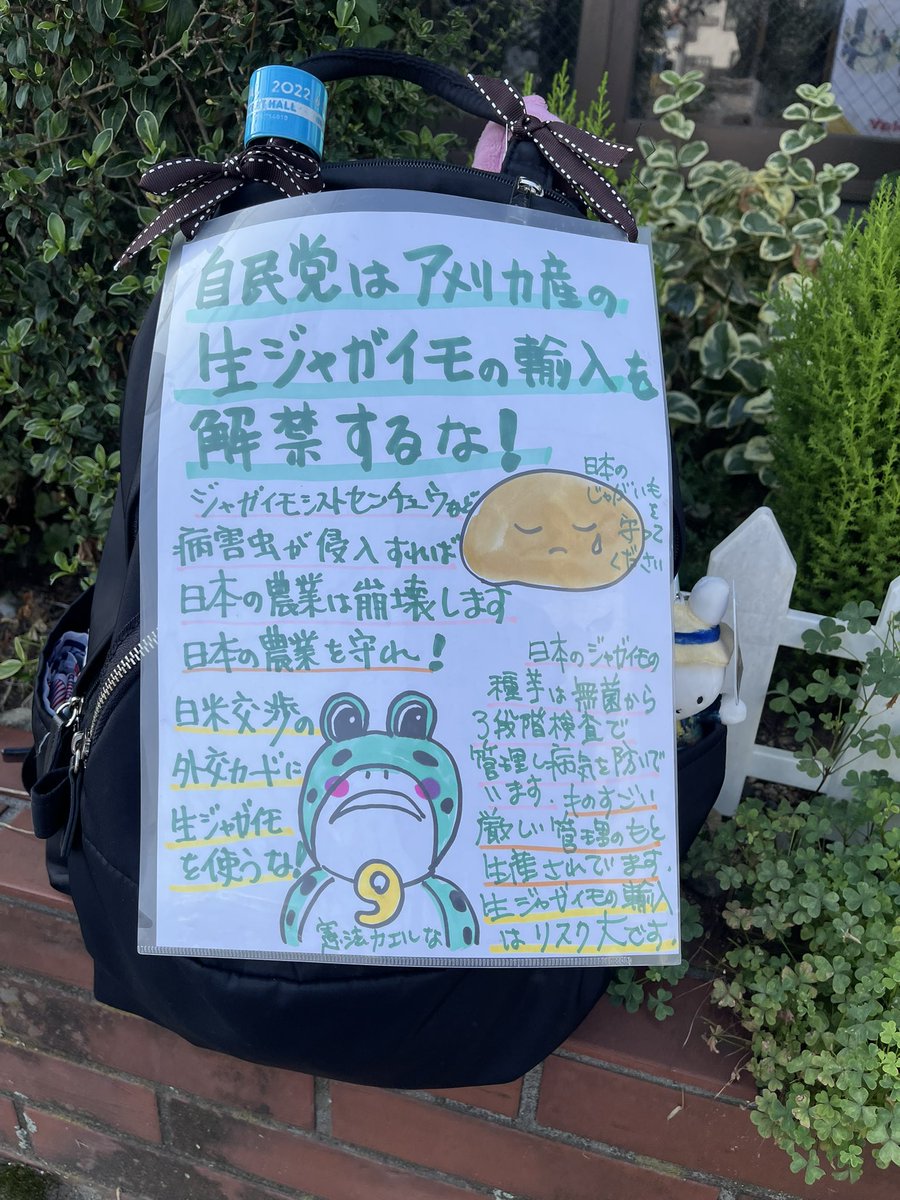 kiiro9_9's tweet photo. 渋谷スクランブル交差点でぼっち散歩10往復してきました。なぜ高市やめろって思うんですか？と真剣に聞いてきた大学生っぽい方やジャガイモ？って背中のプラカ読んでくれた高校生っぽい集団など、気に留めていただけて嬉しいです。暑かったけど散歩して良かった。#ぼっち交差点デモ #渋谷交差点デモ https://t.co/wUcdUok2v7