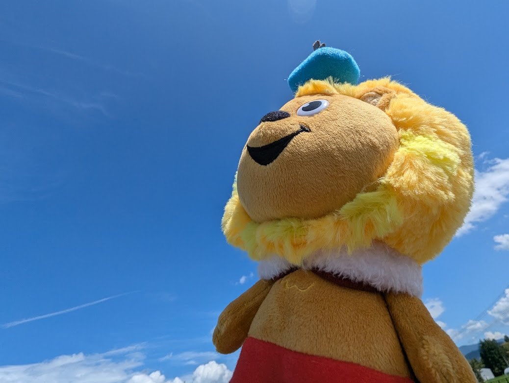 LIONKIDS_DLAS's tweet photo. 今日から8月～🌞
青空気持ちいい～。でも毎日暑いよね。
熱中症には気をつけようね。

#ライオンキッズ 
#ぬい撮り https://t.co/PkWdhcv0AJ