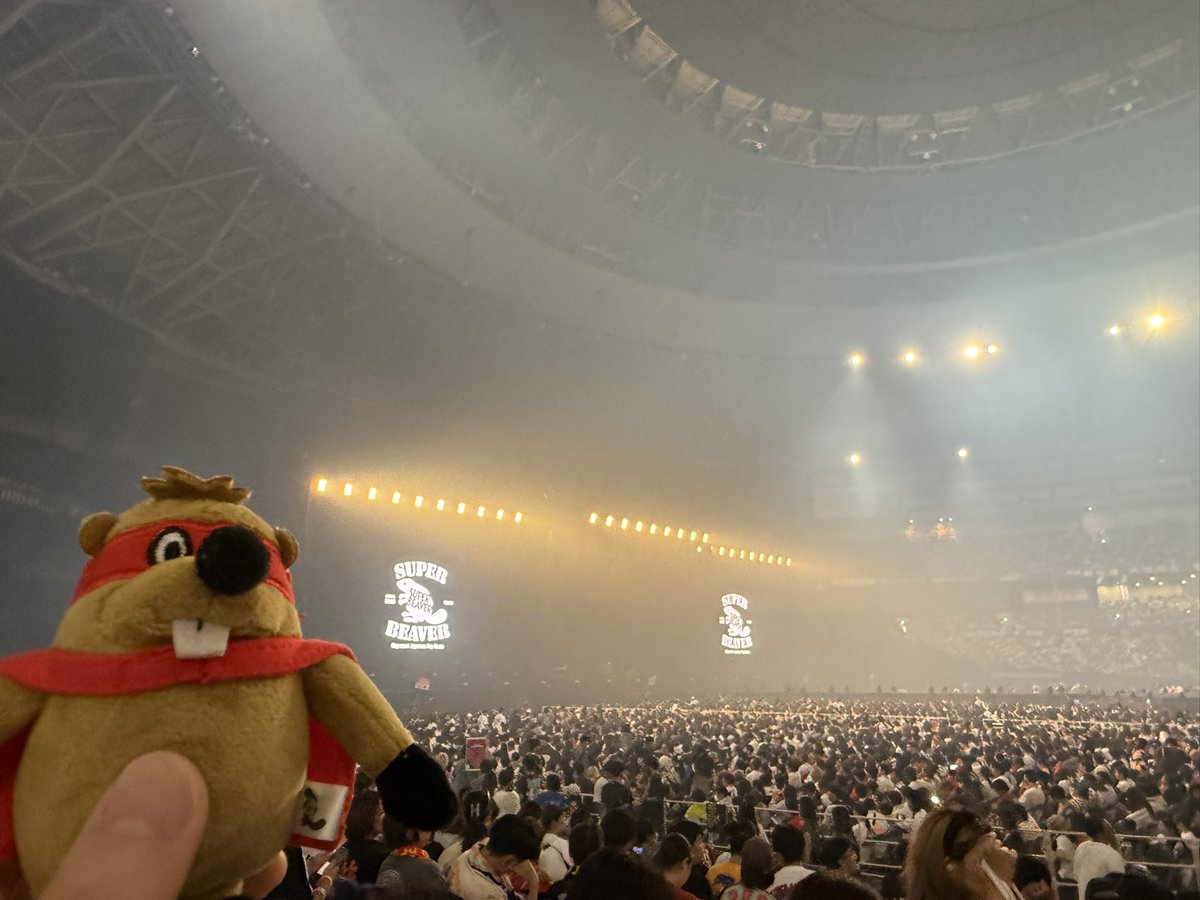 spbv_22's tweet photo. わくわく
#SUPERBEAVER https://t.co/Wvy42AmEFN
