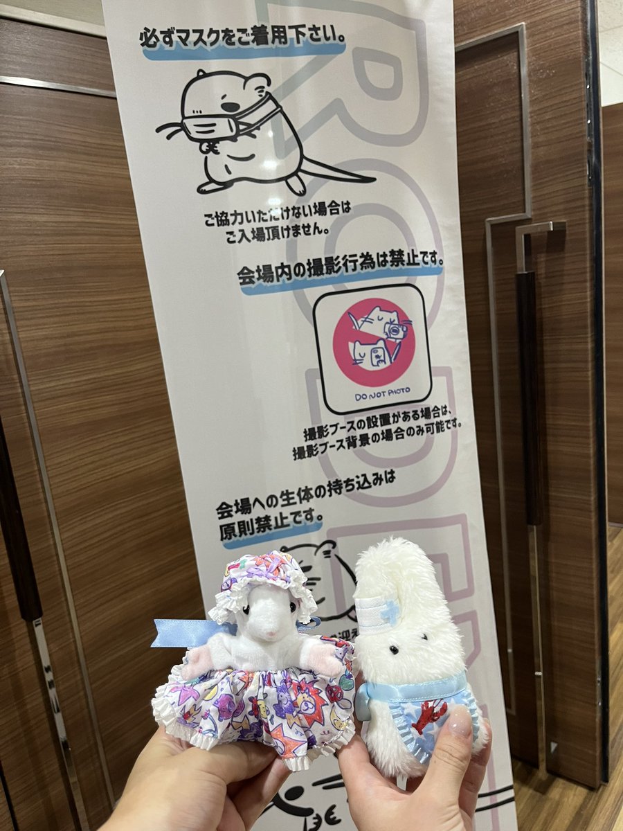 osasimi_samon's tweet photo. 久しぶりに村の奴らに会えたよ❣️🐭
北のねずみさんお迎えできると思わなかった🫨 https://t.co/FY3dV6my9u