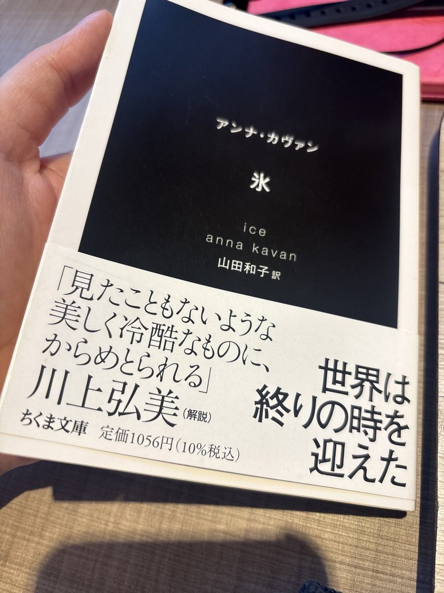 poo0ky's tweet photo. 暑すぎて「氷」読んでるけど寒い https://t.co/7HKKMi0DNd