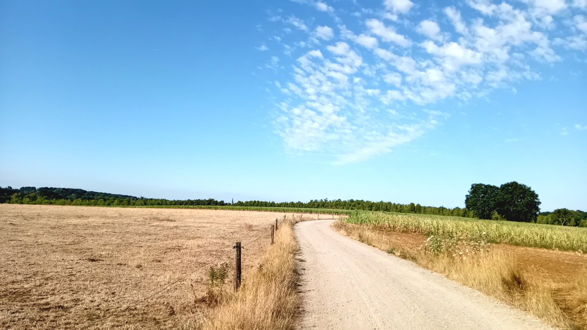 GysemansGoedele's tweet photo. #vrtweer @BuienradarBE #Schaffen 9.24 uur https://t.co/dtFQ7h0Y4c