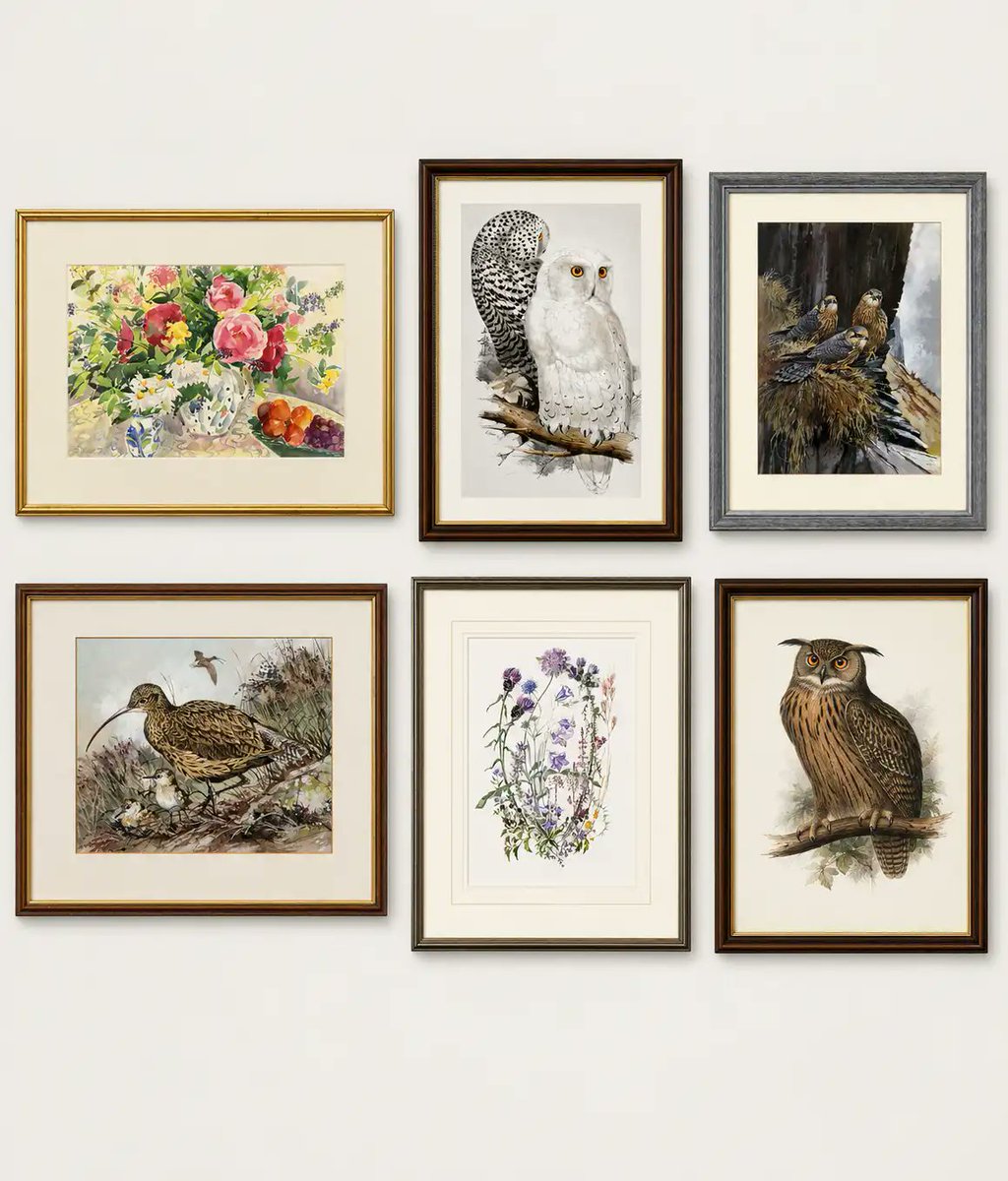 Hawkandowluk's tweet photo. Our Online Fundraising Auction is Now Live! 

From 1st August - 1st September you will be able to bid on items via our online auction site. 
To view items and bid: https://t.co/vbOVAP3XwJ

Thank you for your support, and happy bidding! https://t.co/vhWeYXtNCv