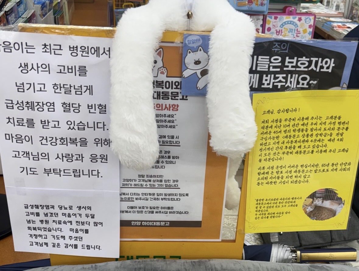 lalalalala12___'s tweet photo. 대동문고 심지어 10년 넘게 매년 형편 어려운 학생들한테 장학금 지원하고, 지역 아동복지센터도 꾸준히 후원 중임.. https://t.co/QE2wLkXDfX