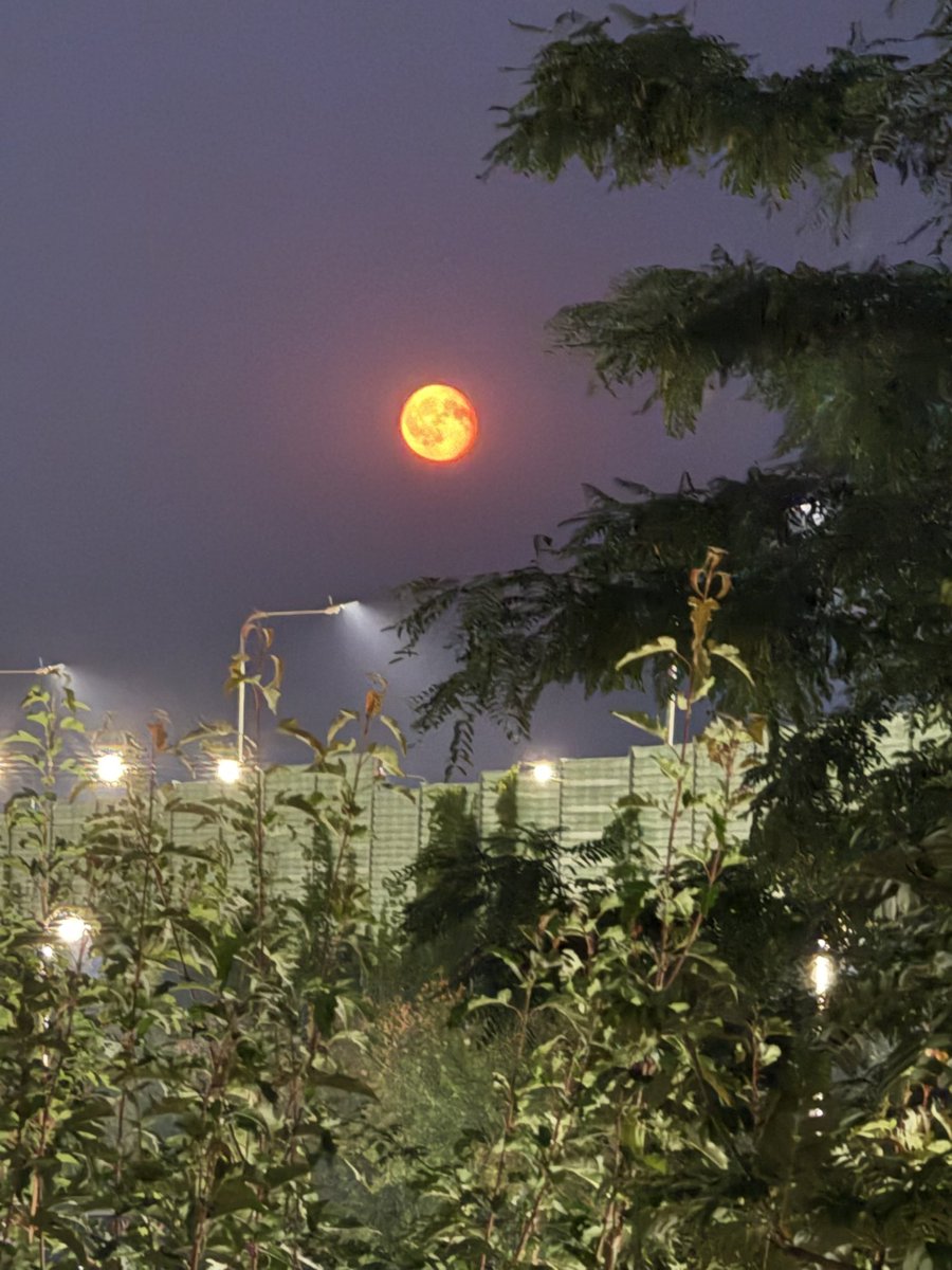 ShvZFR's tweet photo. Happy Saturday to dude and dudette, what are you working this weekend ? 👇

PS: full moon yesterday from my place, what a beauty 😍 https://t.co/adjBXn84ED