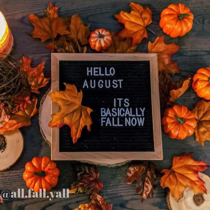 CozyAutumnVibez's tweet photo. Hello August! ๐๐
.
.
#autumn #fall #autumnfall https://t.co/3a2rkNA42j