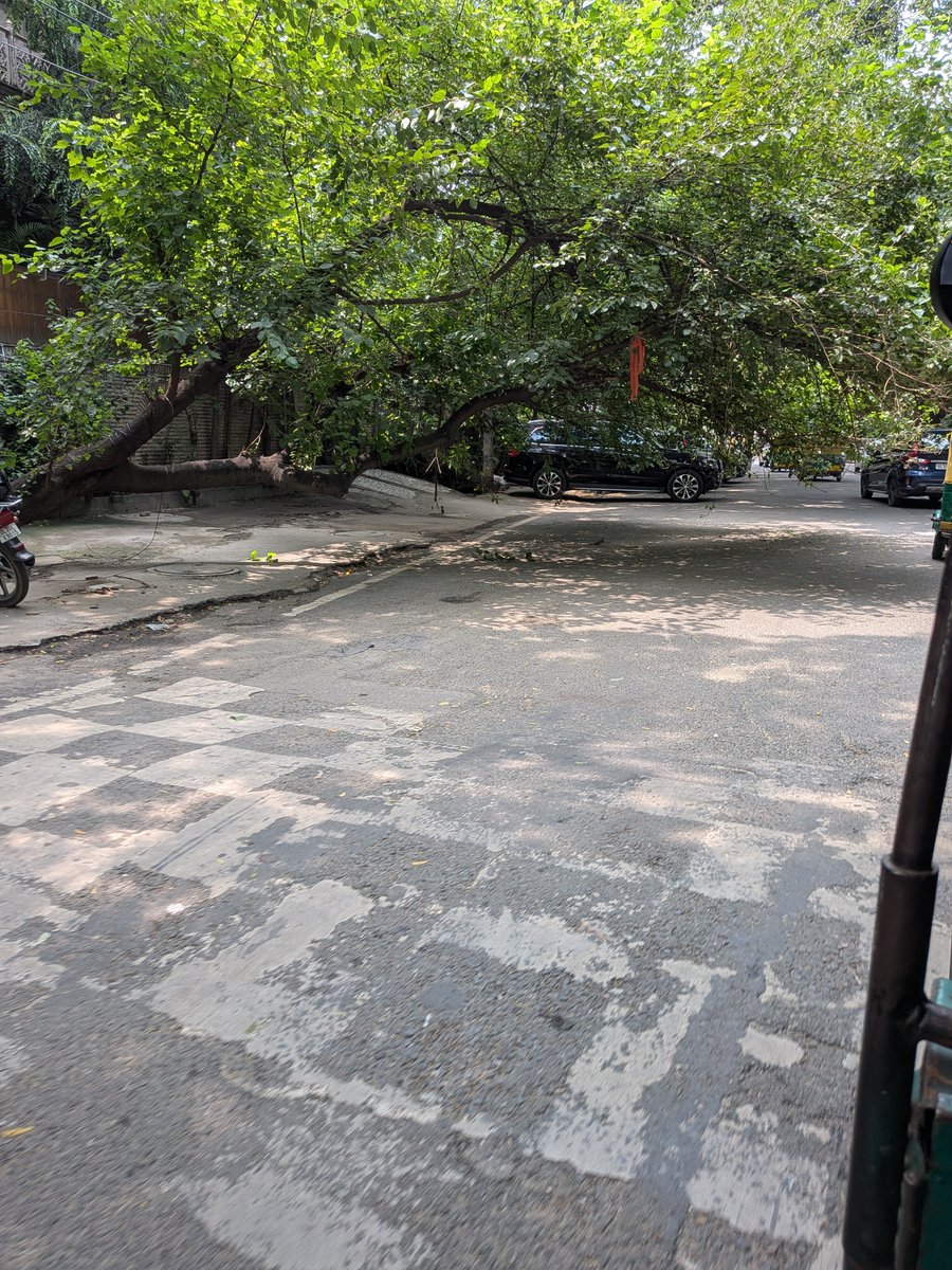 GopalDuggal3's tweet photo. @DelhiPwd @MCD_Delhi @upadhyaysbjp this tree is dangerously bent outside R-5 Hauz Khas Enclave. Kindly get it checked https://t.co/JS0A2mc6u5