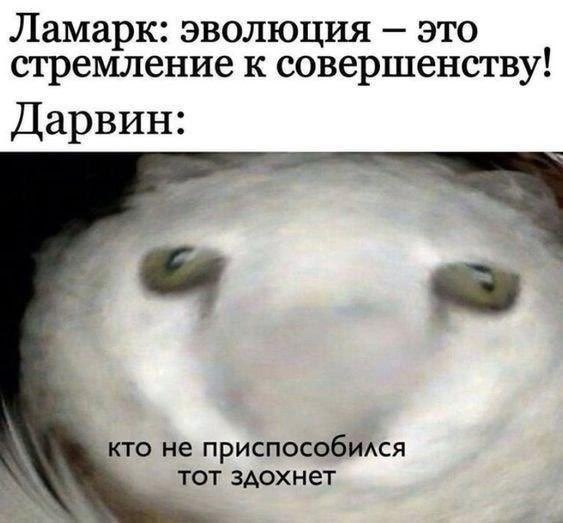 Шиза&База tweet media