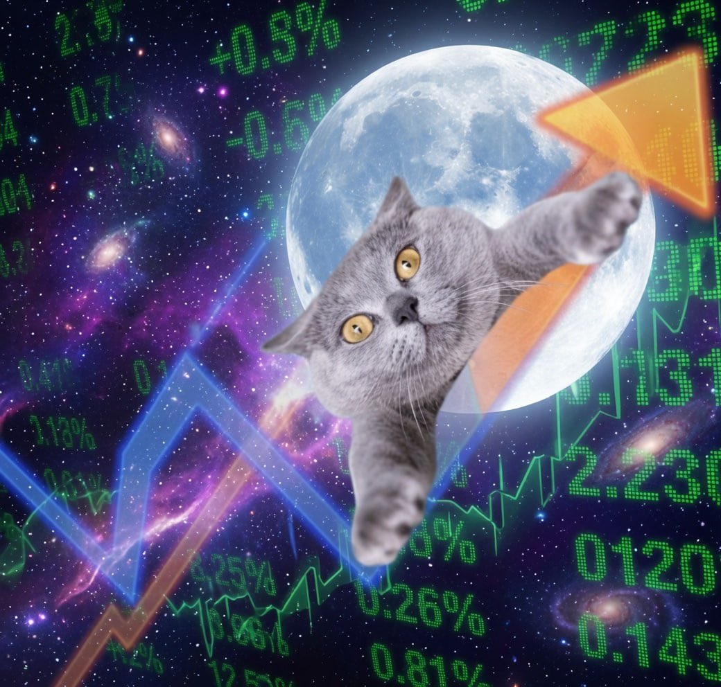 PoutineGraavy's tweet photo. GM yall ready to push now 

🆙🐱

E2hD9XEkyNdW2g8BssYRN1JrNp2FFy9RwYCW8CgawseC https://t.co/gG5HVMhsg6