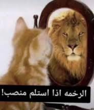 عبدالله tweet media