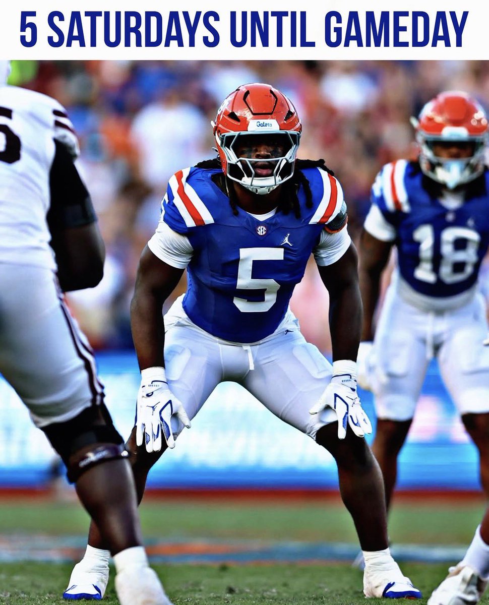 tblack's tweet photo. Myles Graham more Saturdays! 🐊 https://t.co/x6UJFpuo2T