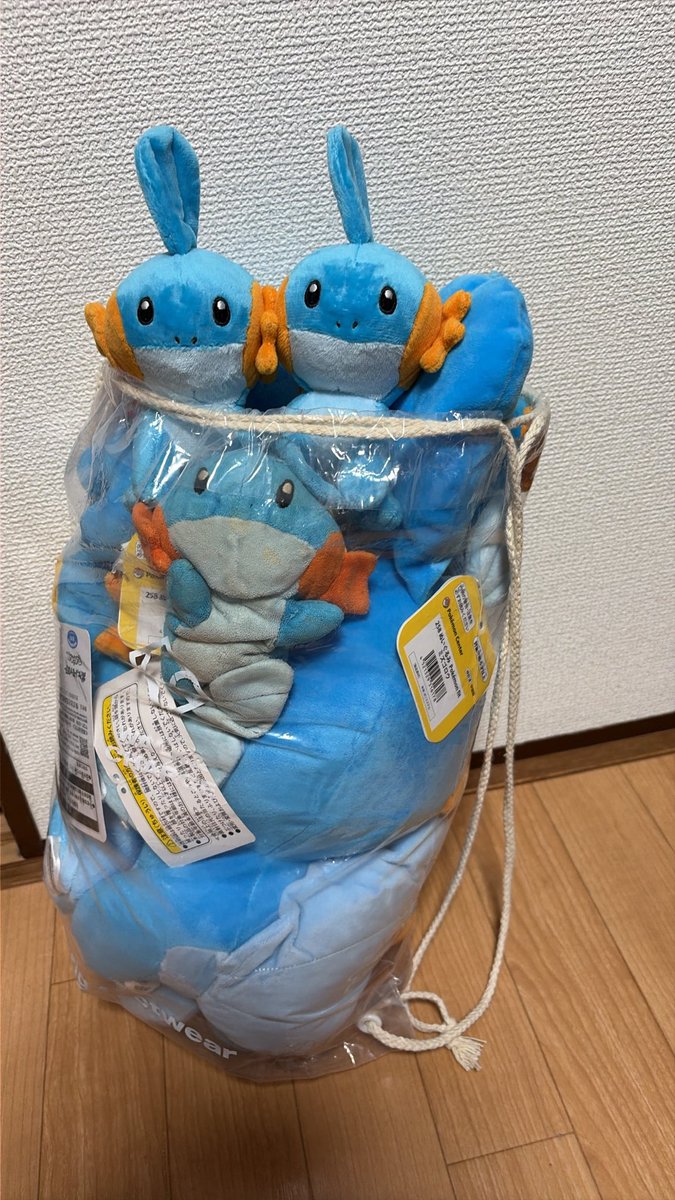 ZOZO_Mudkip258's tweet photo. ミズゴロウの取り放題 https://t.co/3JDGxS0LvS