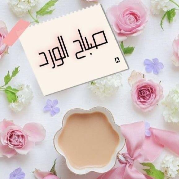 om_hmza753's tweet photo. @Habibaa51611 https://t.co/BRmaYQYoTH