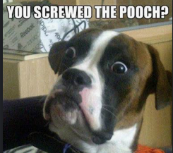 TonyG75672829's tweet photo. Moron Morondami @NYCMayor screws the pooch again naming a Negro Anti-Semitic Network (NAN) vice chair as head of a Police Review Board.
"As be my first order of da review, I's b releasing all blacks from NYC prisons &amp; jails henceforth &amp; heretofore b da crimes"
- J. A. https://t.co/PboNgsVSiY
