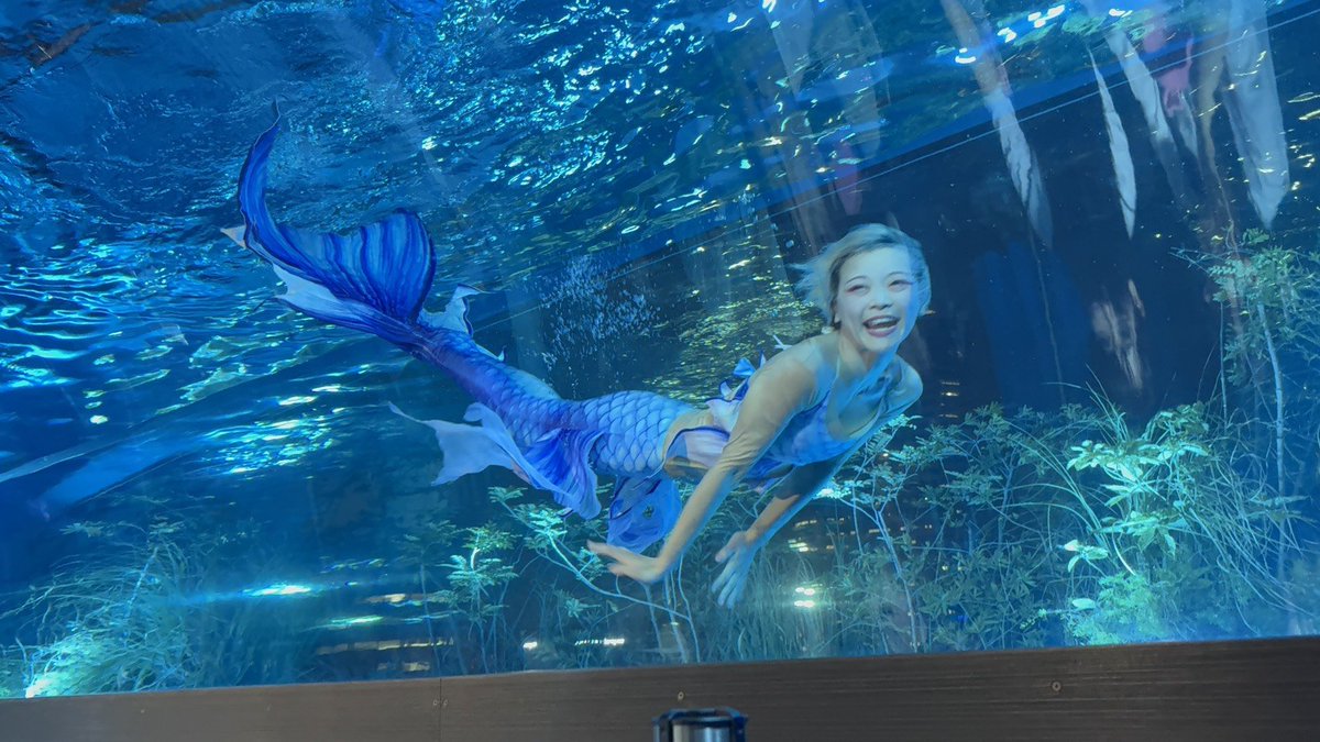 _1kakeru10_'s tweet photo. ナイトマーメイドショー
📍サンシャイン水族館

来てくれた方ありがとうございました✨

私が出演するのは本日のみでしたが、マーメイドショーは8/29まで毎週末公演がございます🧜‍♀️

ぜひマーメイドたちに会いに来てくださいね♡ら https://t.co/KRe0Aee3PM