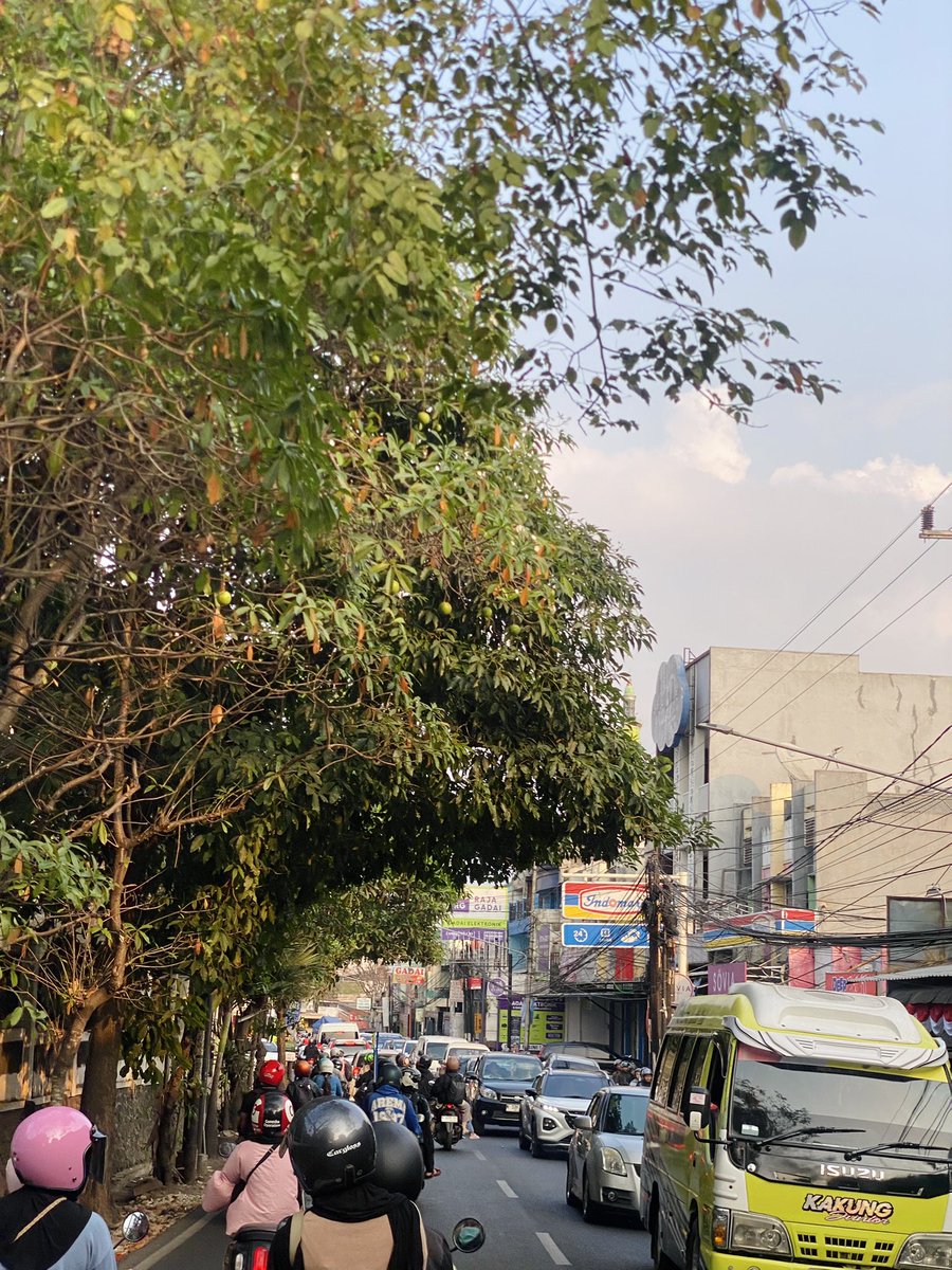 dittolongdit's tweet photo. malang weekend + musim maba = bencana tata kota

@infomalang @yusufgunawan https://t.co/jgEhiqLFp7