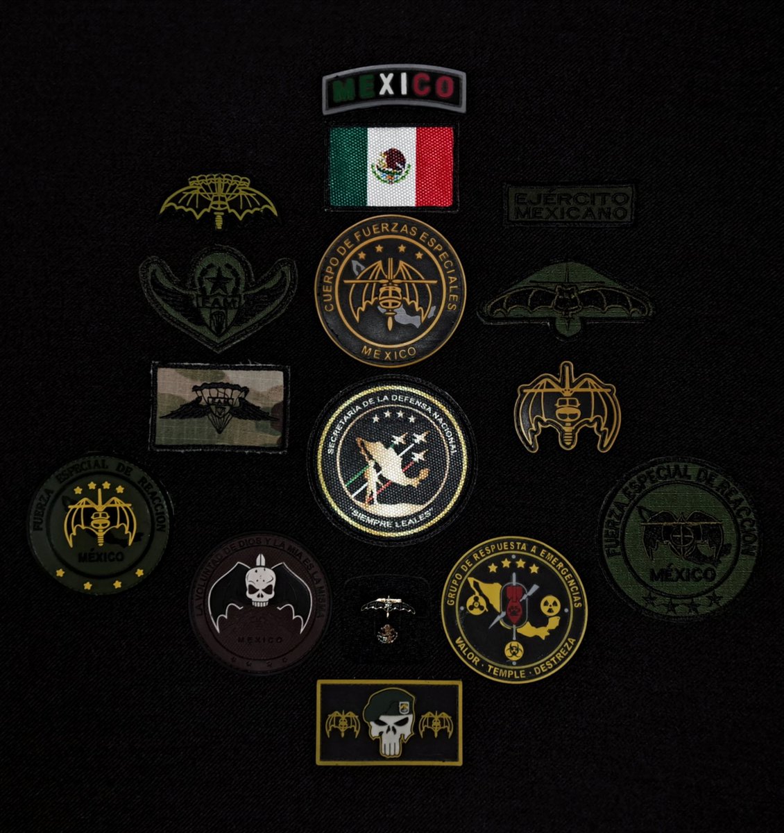foro_militar's tweet photo. 01 de Agosto Día de las Fuerzas Especiales

Todo por México🦇🦇🦇🪖🇲🇽 https://t.co/sZyYmbOfvC