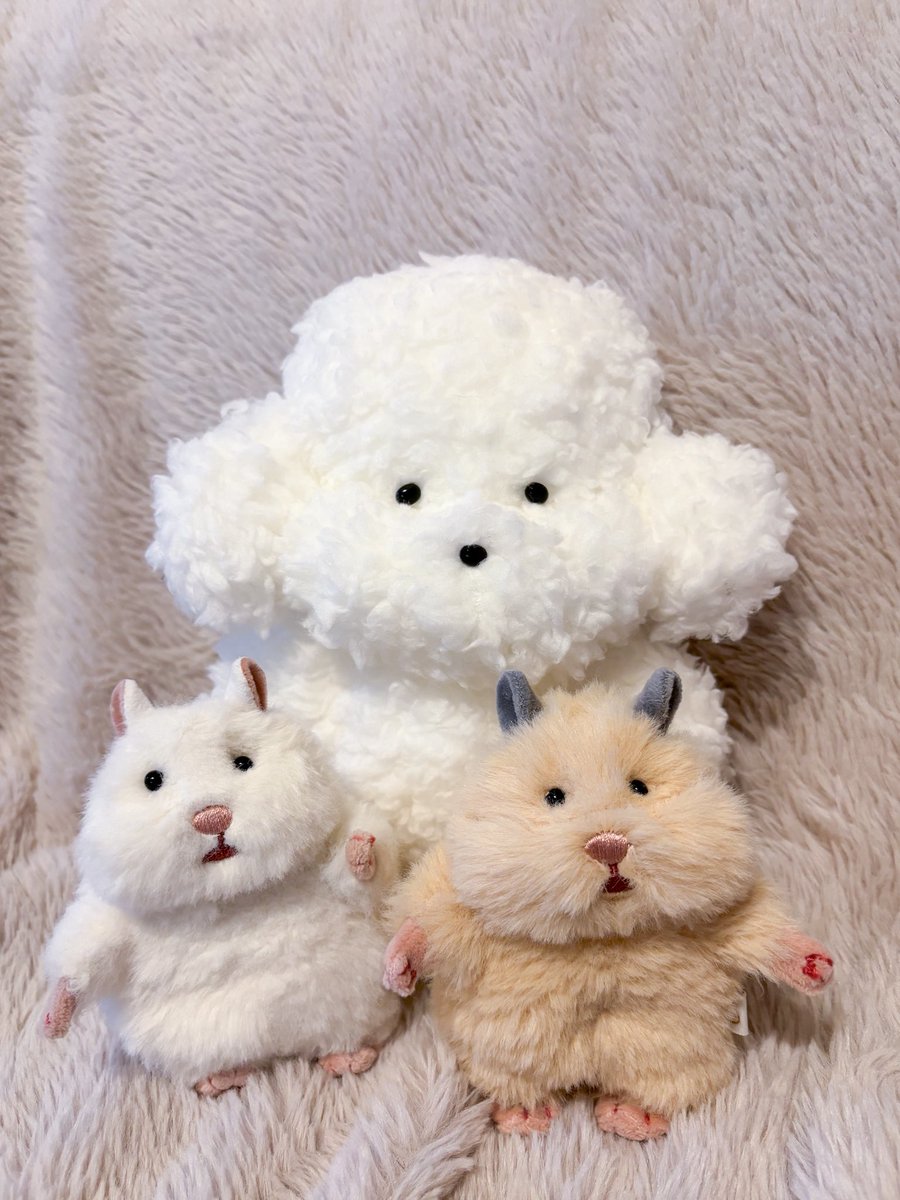 shiratamano_nui's tweet photo. 新しい家族の紹介૮⁔.  ̫ .⁔ა

@tepesonotom さんから、
もこもこでとってもかわいい子をお迎えしました🐾

『みんなの愛犬の似顔絵を描く会』があったので、姉のイッヌたち描いてもらった💝 https://t.co/ZCKDDVr0xm