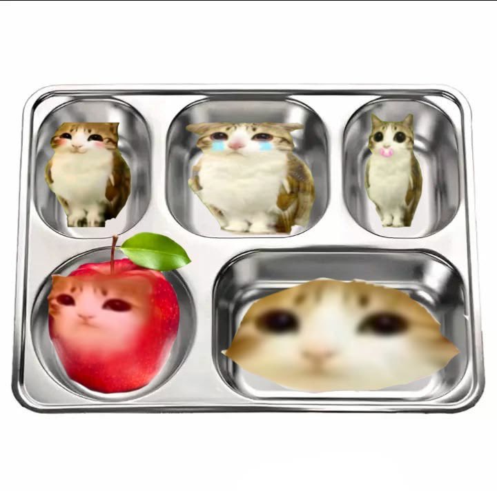 meowlposter's tweet photo. and there goes my appetite https://t.co/FsmyNnTD8x