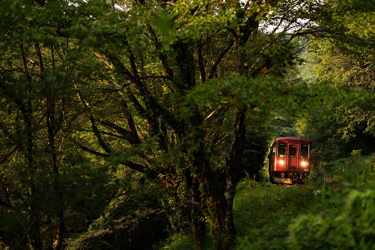 railman_nakai's tweet photo. 8月1日（土曜日） | 鉄道写真家 中井精也の1日1鉄！ Powered by Ameba

列車と自然が
ひとつになる瞬間

 https://t.co/BTtLczd5ne #Amebaブログ #アメブロ https://t.co/FdMbiVa6EX