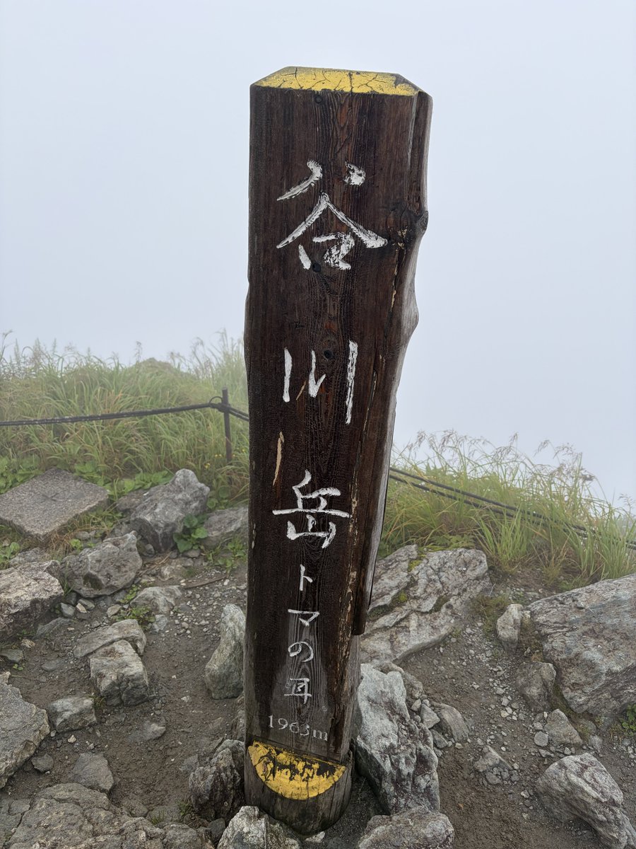take_standup's tweet photo. 谷川岳に行ってきました
ガスガスで景色...でしたが、高山植物は沢山見れました https://t.co/VnKLtAmMep