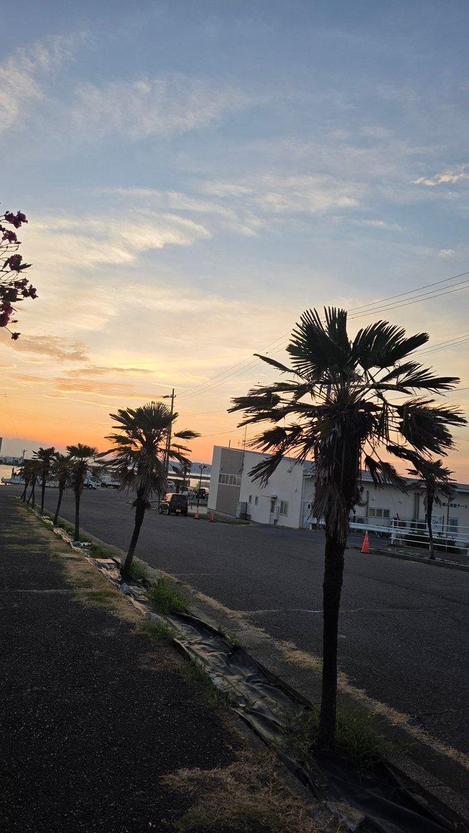 XIIIDLIZERO's tweet photo. 濃縮された ”夏” https://t.co/3jCTgmgZBX