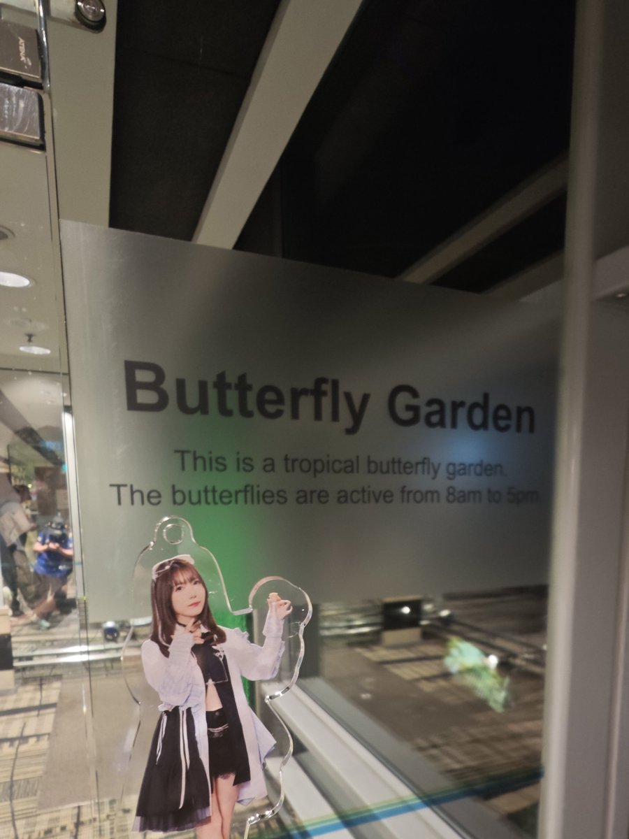 71_65's tweet photo. 普通に虫嫌いすぎて直前になって入るのを止めるバタフライガーデン https://t.co/t1nUbdBqan