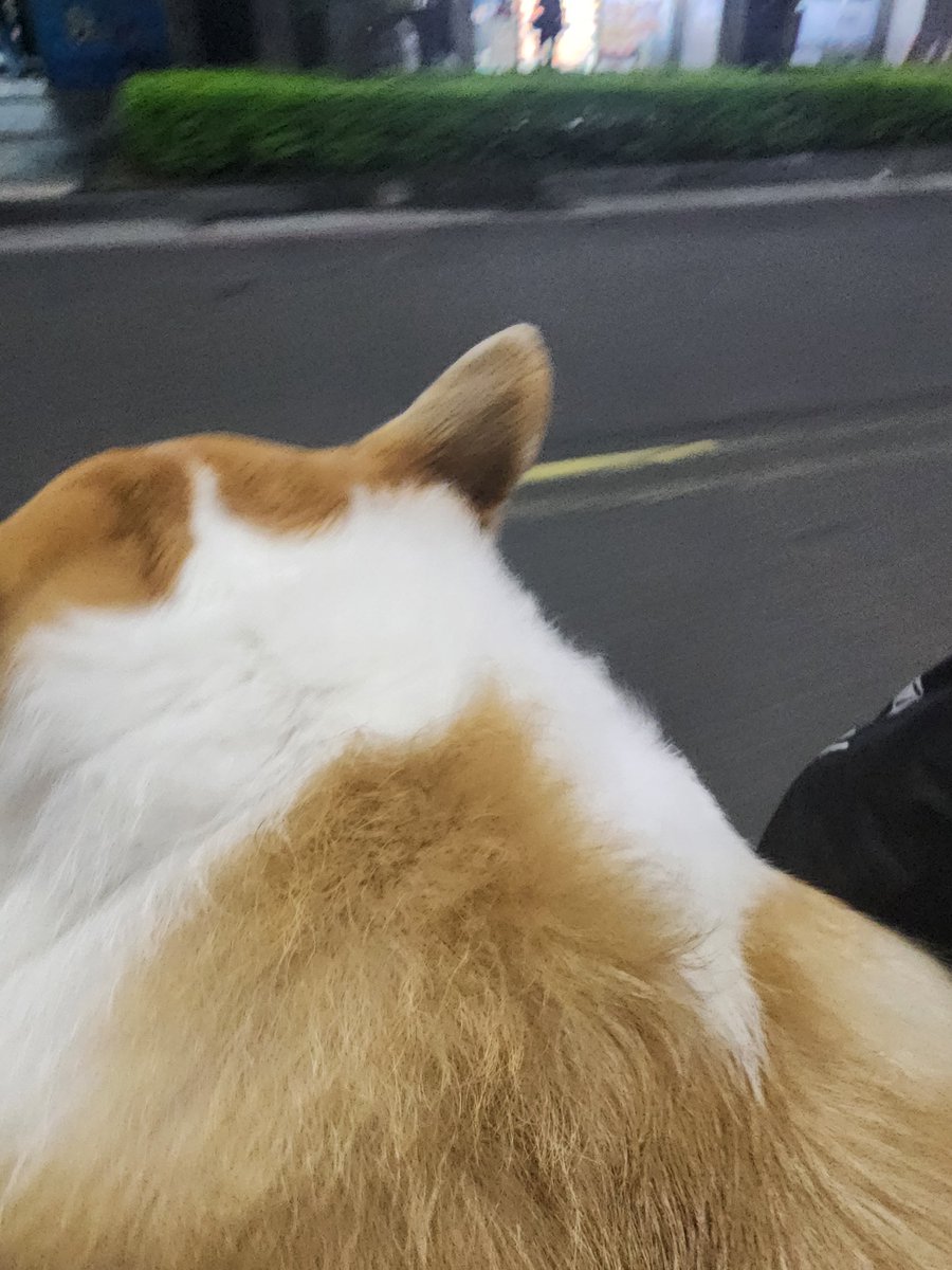 329891252a's tweet photo. 騎車兜風 https://t.co/iq3fW7XSkD