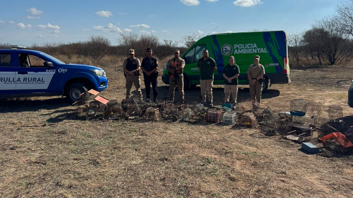 PoliciaCbaOf's tweet photo. Allanamientos rurales: cayeron tres sospechosos y rescataron 50 aves

🚔🌿 Tres hombres fueron detenidos durante una serie de allanamientos realizados por Patrulla Rural, acusados de estar vinculados a hechos de robo, abigeato y caza ilegal.

✅ Se secuestraron tres armas de fuego, un arma de aire comprimido, cinco armas blancas, cartuchos de distintos calibres, dos motos, piezas de animales, herramientas, celulares y otros elementos.

📍 Los operativos se realizaron en Serrezuela, Etruria, Villa Valeria, Río Cuarto y Ticino.

🐦‍⬛ Por otra parte, en un trabajo conjunto con Policía Ambiental por una investigación de tenencia ilegal de fauna silvestre, se secuestraron 50 aves silvestres, 26 tramperos, 47 jaulas y otros objetos utilizados para su captura y cautiverio en Villa Sarmiento, Sauce Arriba, Conlara y Luyaba.