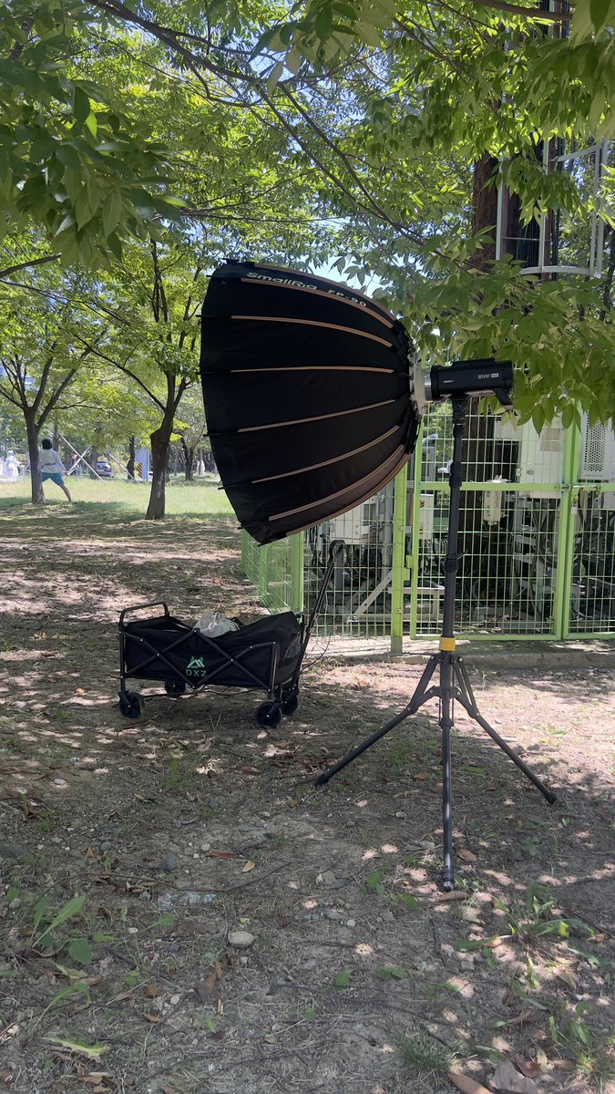iru_pic tweet media