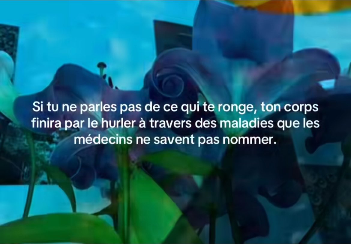 limerence 💭 tweet media