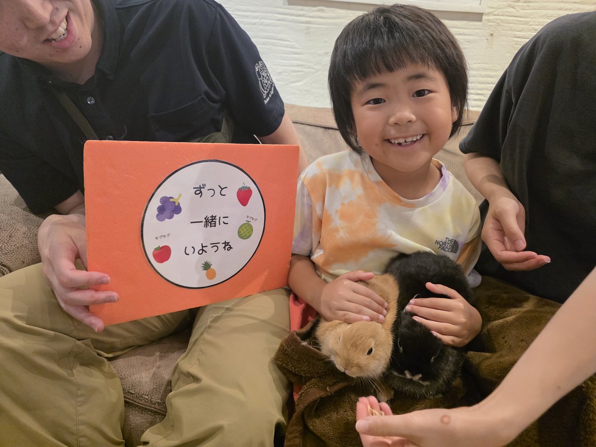 monlapin_rabbit's tweet photo. ネザーランドドワーフセーブルマーティンちゃんの飼い主様が決まりました！
ご成約誠にありがとうございました！

ショップには40匹以上の様々な品種、カラーのうさぎさんがおります✨

当店のホームページもご覧ください。
https://t.co/MQKvlvVE6c

#モンラパン#うさぎ専門店 https://t.co/5ISvySByYh