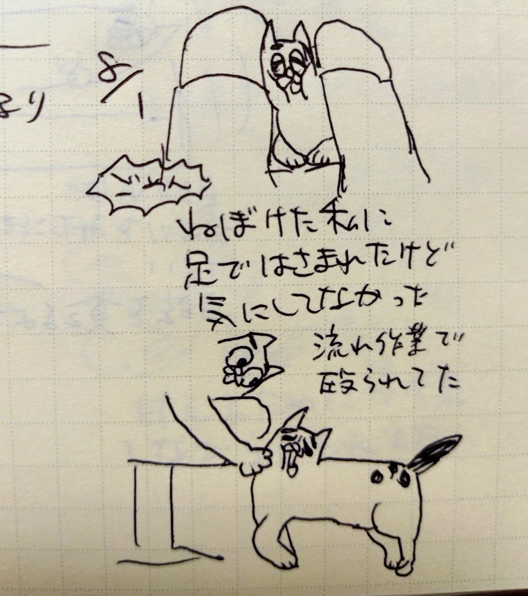 onyanturunuru's tweet photo. ネコニッキ https://t.co/oJBfsxGtNL