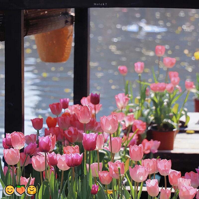 CElsie91638's tweet photo. 👍文援💯自慰😃日常大赛😄固聊😍剧情💯师生💫御姐🎉性瘾😆恋母😋手冲💝扣水👏湿身🍀潮喷😄窥阴😄肉便器😎羞耻🤗淫妻😋滴蜡😀灌肠😁玉足

企鹅裙：1818089
飞机：zuoyi1v1
裸聊/连麦/文爱/调教/寸止 https://t.co/Woj1uaKhC5