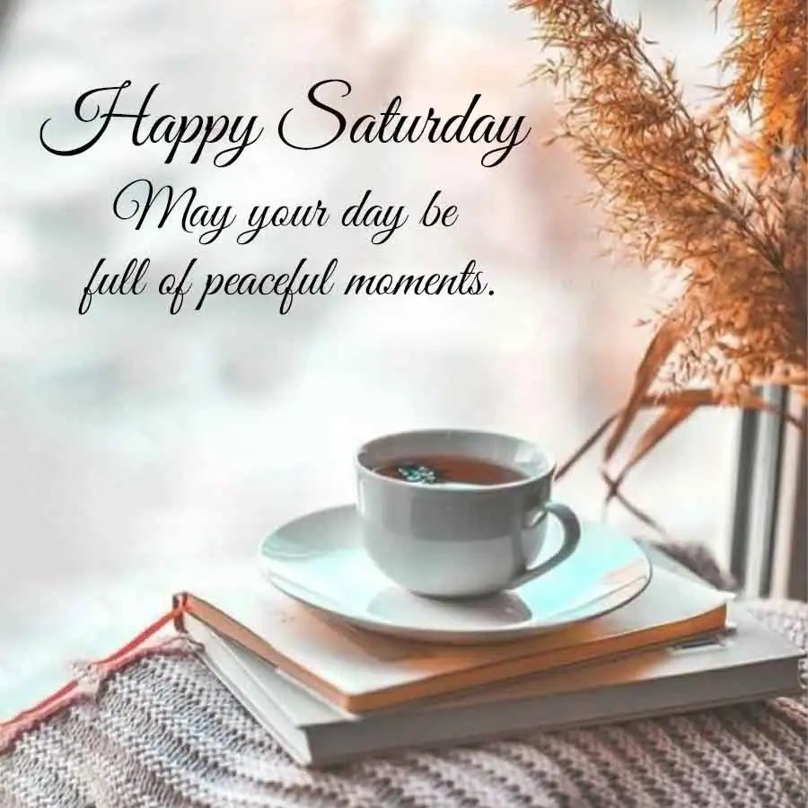 Jortiz764's tweet photo. Hello! Good morning happy Saturday ❤️🤝🥰🤗 https://t.co/znu3MCAd1y
