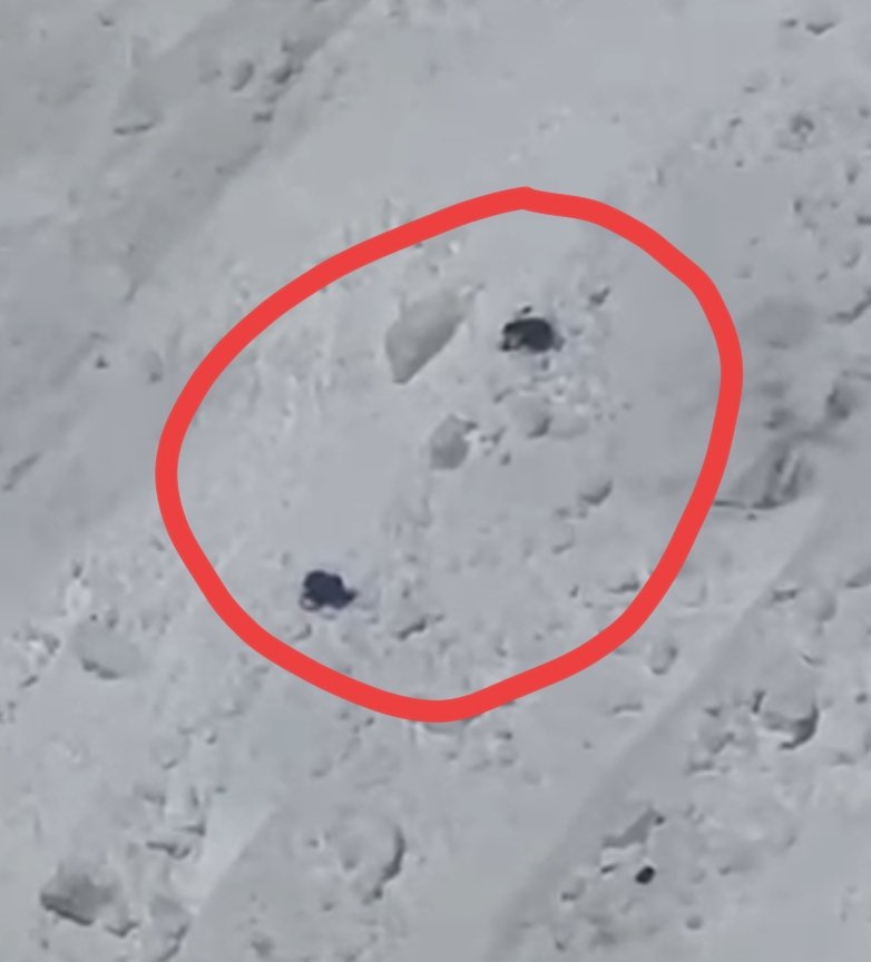 Samson_Sharaf's tweet photo. Based on this data the air and ground recovery operations are in progress. So far 5 bodies/parts located. One body in SOS position. Perhaps Nims from special forces. He survived for sometime touse his soldiery senses. RIP
#BroadPeak https://t.co/29He566gzb