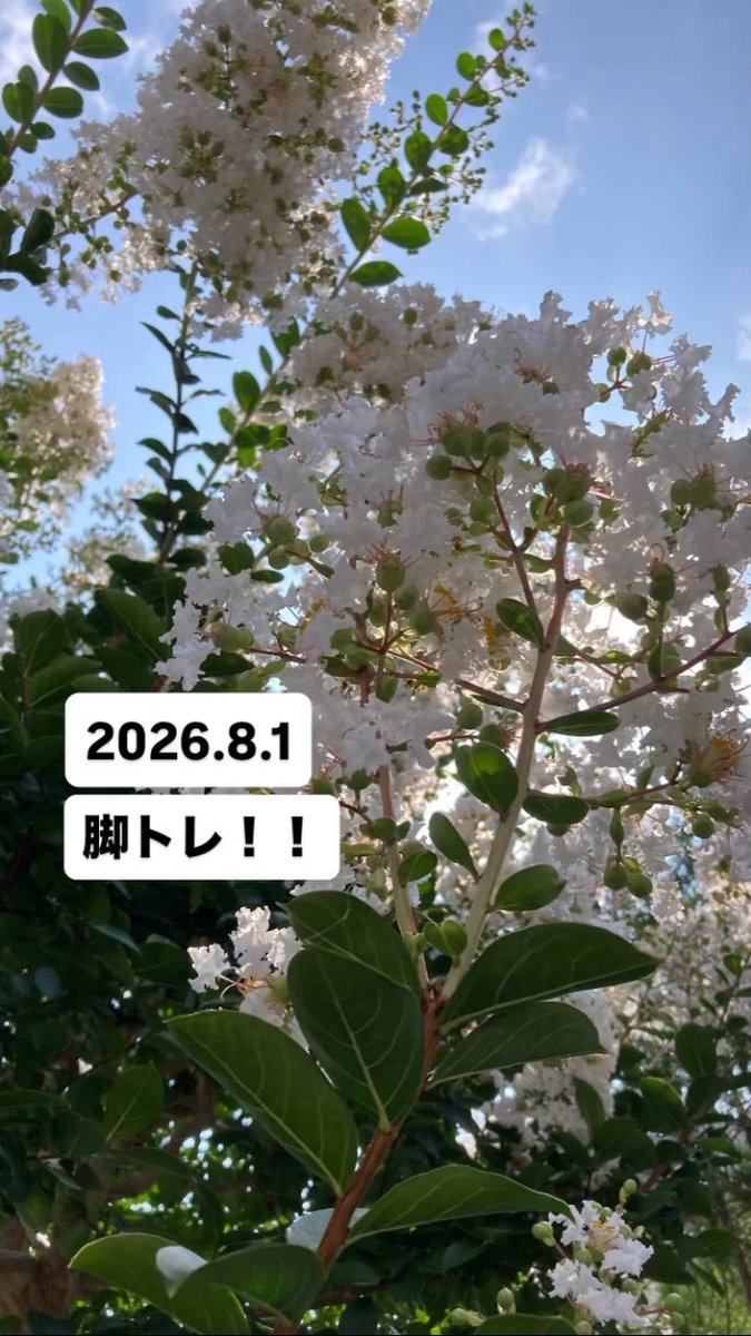 Misakodiet's tweet photo. 今日の筋トレまとめ: 下半身の日

久しぶりの脚トレ。
スクワットで前腿ばかり効くフォームになってたかも🙄 https://t.co/90KQoPV1hn