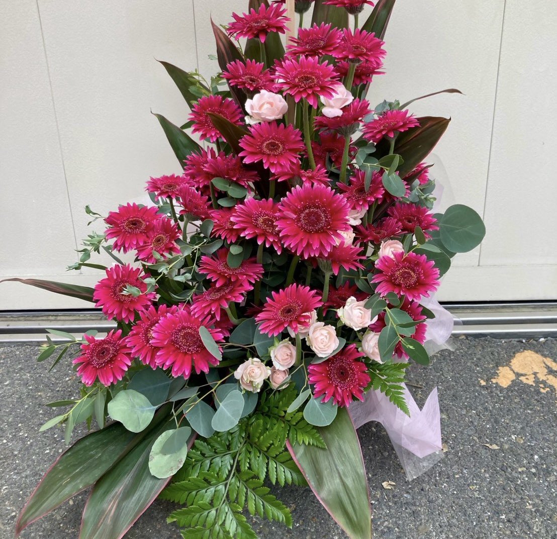 doki_doki_anpan's tweet photo. "Kind of love"のMVに出てたお花を準備して、宮地さんへお花を贈りました💐

花言葉が熱愛みたいなので
溢れるほどの愛と感謝を込めて
これからも応援しています✊

#宮地すみれ
#リアルミーグリ https://t.co/luyL2vZhnJ
