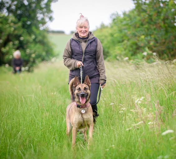 gsrescueelite's tweet photo. Maya is coming up to 4yrs old and she spent her early years confined to a crate! Maya's confidence has grown with the help of the #Notts kennels and she can live with older kids 
#germanshepherd #dogs 
https://t.co/czrgFsmDyz https://t.co/OxYRVW4NNI
