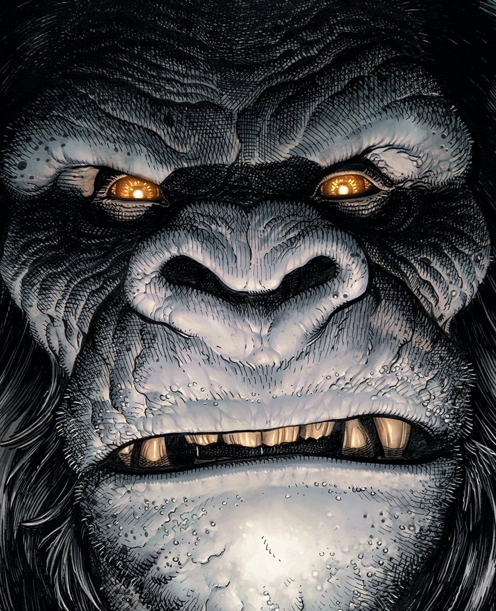reactiontimemx's tweet photo. Jimmy Tatro se suma al #DCU como #GorillaGrodd en la serie spin-off de “SUPERMAN”, protagonizada por Skylar Gisondo.
La serie, aún sin título oficial, es descrita como un documental estilo true crime presentado por Jimmy Olsen.
(Via @DEADLINE | https://t.co/nSjtQUteWJ) https://t.co/eQ3Fu7zz0T