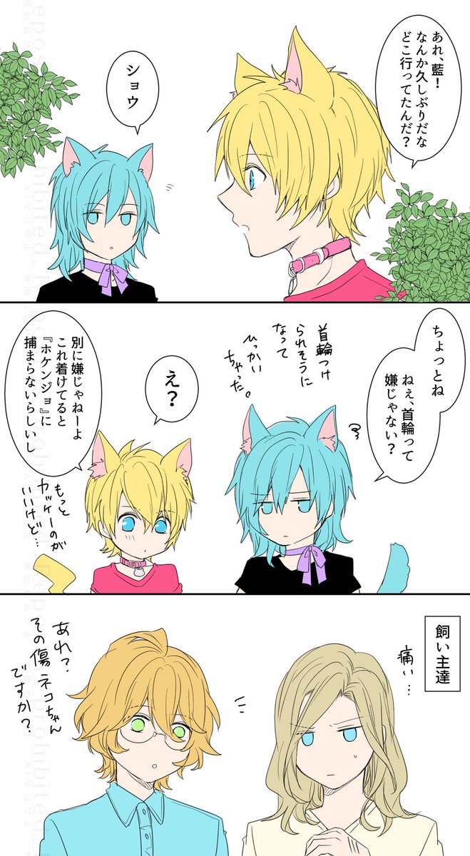 atyamo0405's tweet photo. ちゃんと飼い猫になってる翔ちゃんとまだ飼い猫になってない藍ちゃん https://t.co/7yygliZ7aj