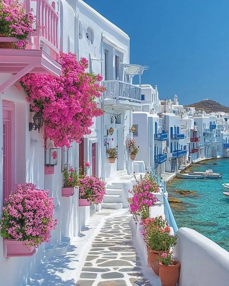LUVO786's tweet photo. Mykonos, Greece 🇬🇷 https://t.co/7BbkJJAjgH