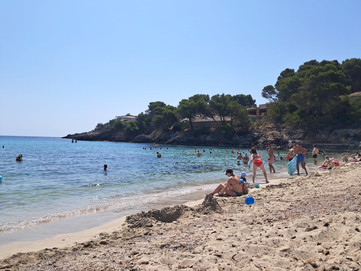 JMRex7's tweet photo. Font de sa cala 📍 https://t.co/IqZ4AH7cfI